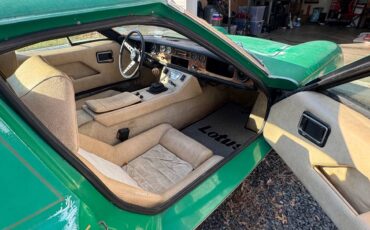 Lotus-1974-green-7