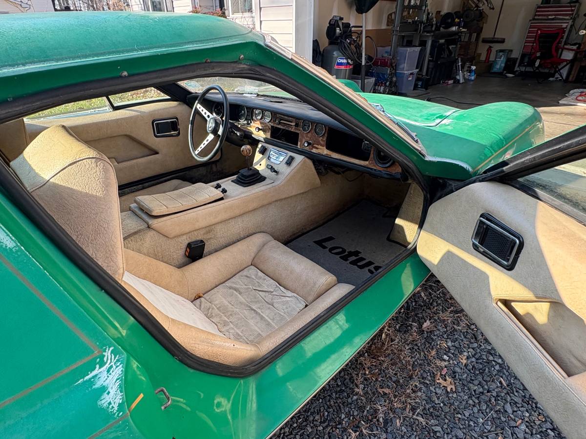Lotus-1974-green-7