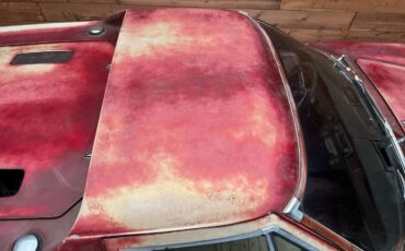 Lotus-Europa-1972-13