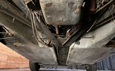 Lotus-Europa-1972-24