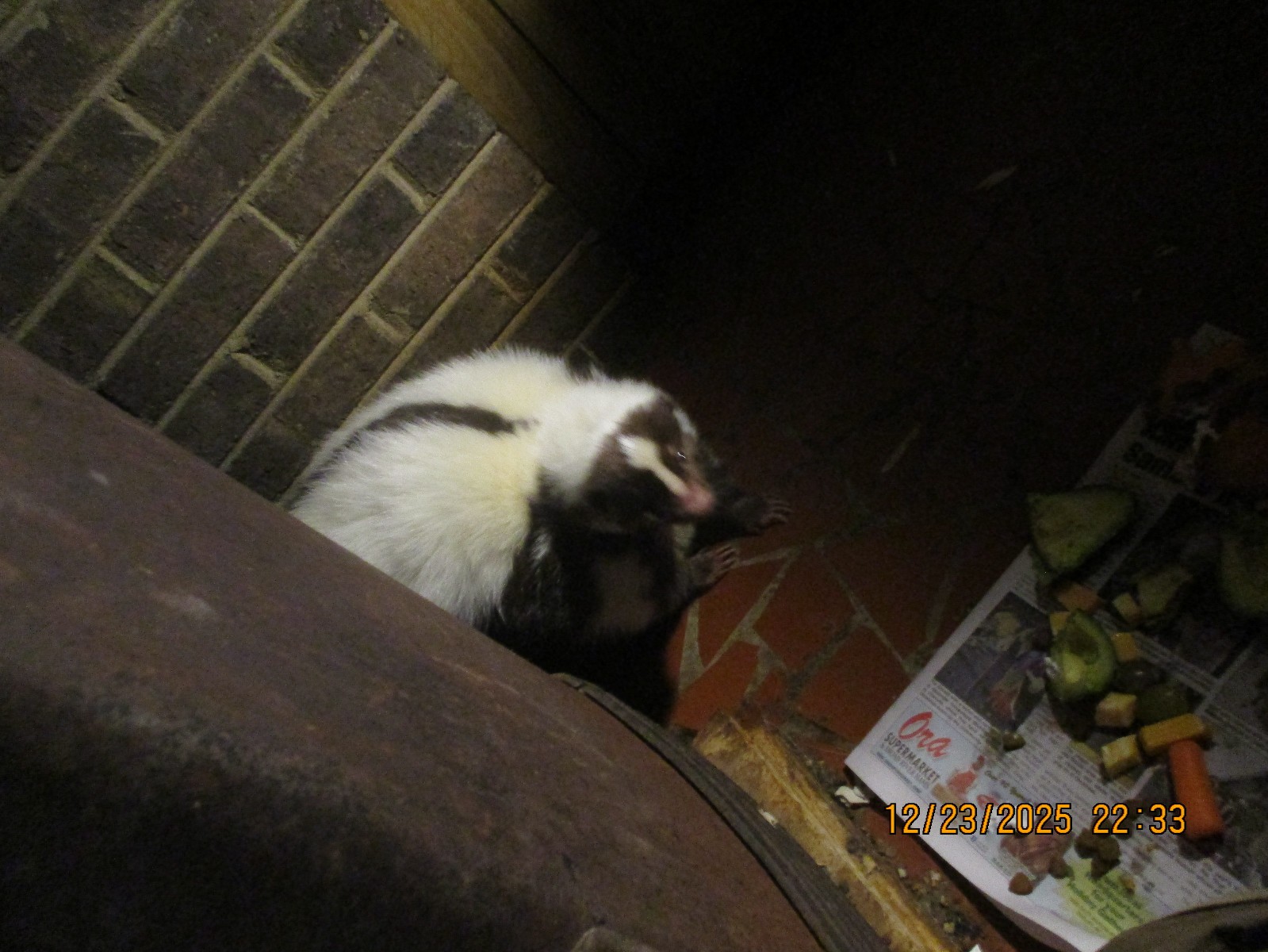 MG-MGB-1980-Convertible-12