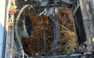 Mazda-rx-7-1985-blue-4