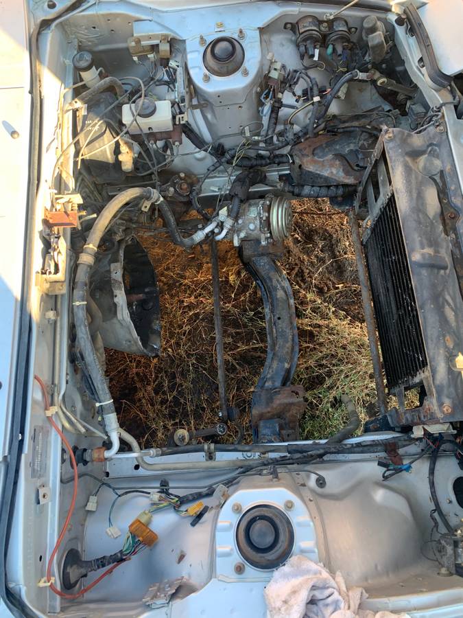 Mazda-rx-7-1985-blue-4