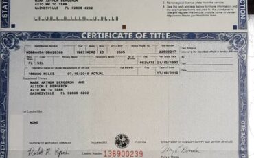 Mercedes-1983-blue-3