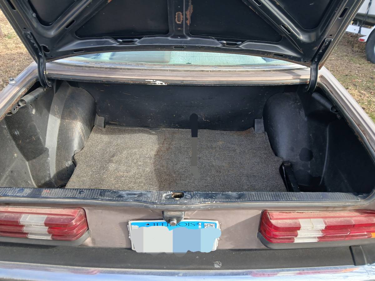 Mercedes-240d-diesel-1979-brown-3