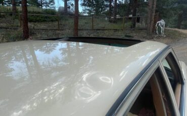 Mercedes-240d-diesel-1981-yellow-4