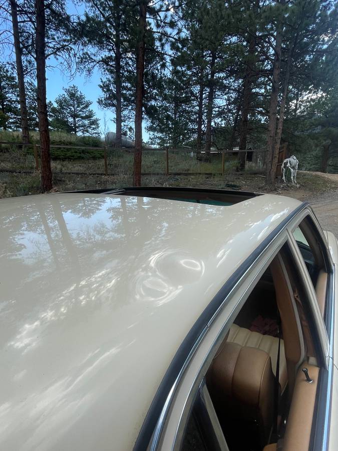 Mercedes-240d-diesel-1981-yellow-4