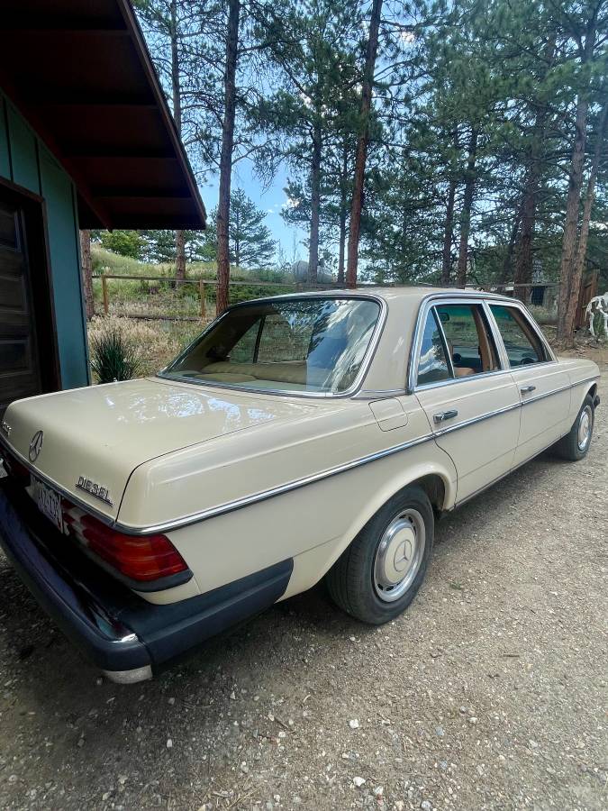 Mercedes-240d-diesel-1981-yellow-6