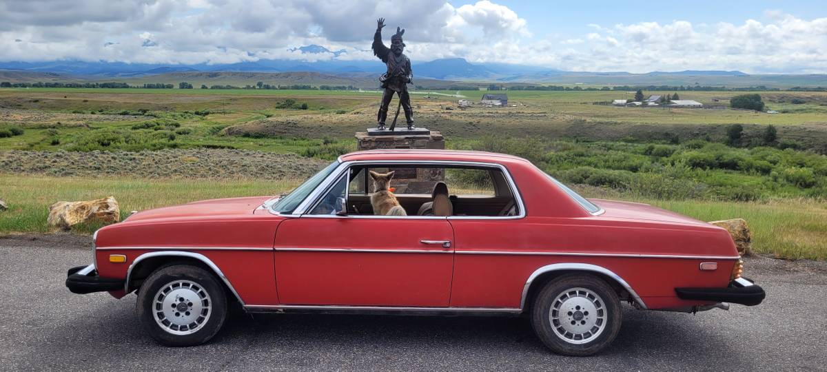 Mercedes-280c-1974-20