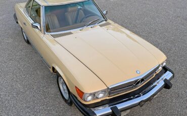 Mercedes-450sl-1974-16