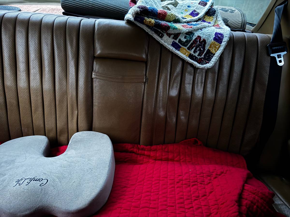 Mercedes-benz-116-1975-yellow-2