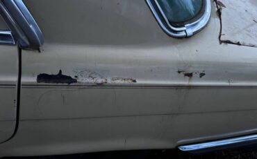 Mercedes-benz-116-1975-yellow-4