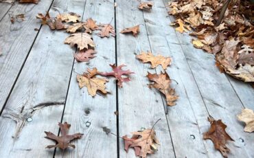 Mercedes-benz-1961-7