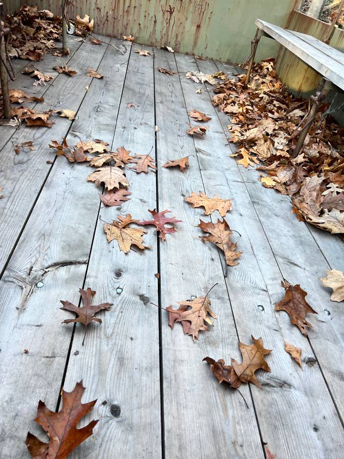 Mercedes-benz-1961-7