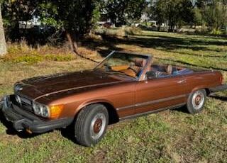 Mercedes-benz-1976-brown-1