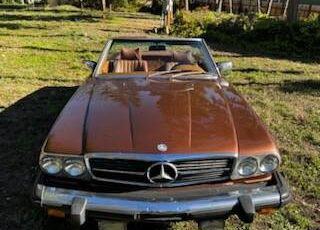 Mercedes-benz-1976-brown-2