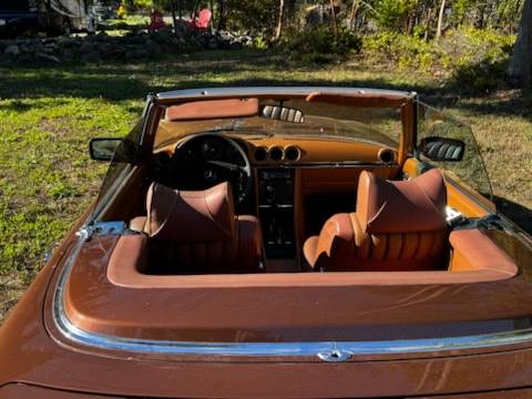 Mercedes-benz-1976-brown-4