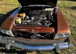 Mercedes-benz-1976-brown-5