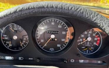 Mercedes-benz-1976-brown-6