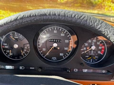 Mercedes-benz-1976-brown-6