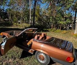 Mercedes-benz-1976-brown-7