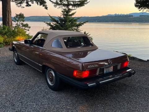 Mercedes-benz-1976-brown-8