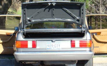 Mercedes-benz-1989-grey-4