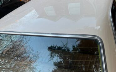 Mercedes-benz-220d-diesel-1972-yellow-11