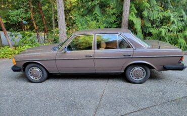 Mercedes-benz-240d-diesel-1977-brown-1