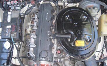 Mercedes-benz-250s-sedan-3.0-1967-white-14