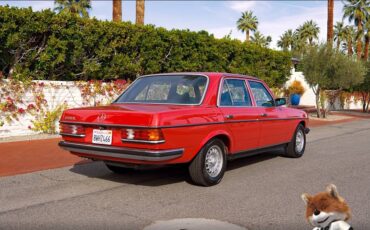 Mercedes-benz-280-e-1976-1