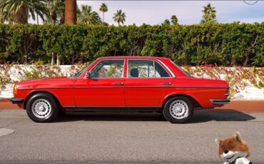 Mercedes-benz-280-e-1976-10