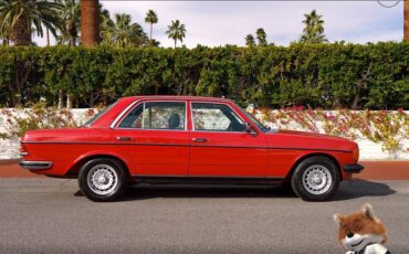 Mercedes-benz-280-e-1976-12