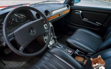 Mercedes-benz-280-e-1976-13