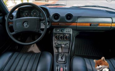Mercedes-benz-280-e-1976-2