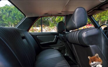 Mercedes-benz-280-e-1976-29