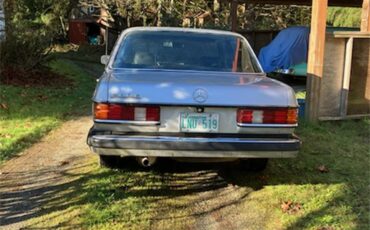 Mercedes-benz-280se-1980-Silver-Black-2