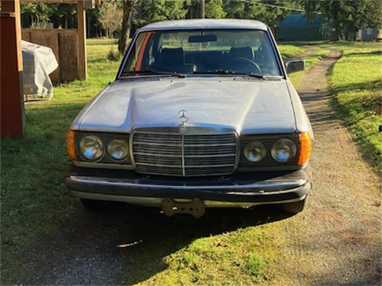 Mercedes-benz-280se-1980-Silver-Black-3