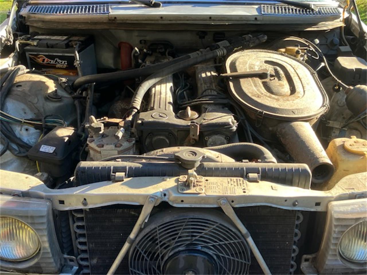 Mercedes-benz-280se-1980-Silver-Black-5