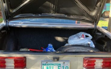 Mercedes-benz-280se-1980-Silver-Black-6