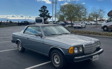 Mercedes-benz-300d-diesel-1978-blue-1