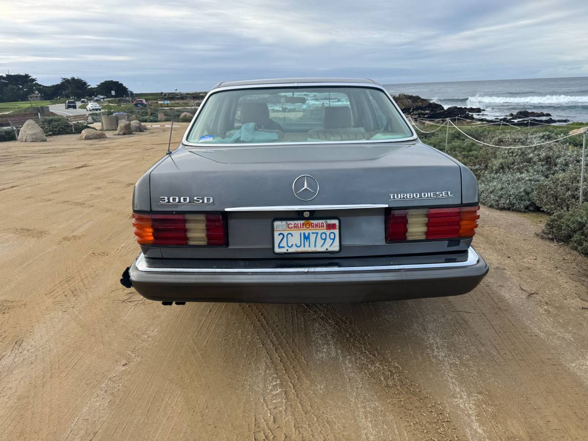Mercedes-benz-300sd-diesel-1981-grey-2