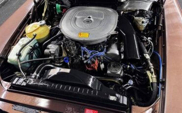 Mercedes-benz-380-sl-1985-brown-19