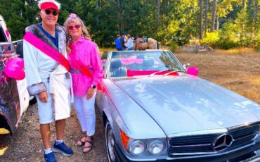 Mercedes-benz-380sl-1981-silver-2