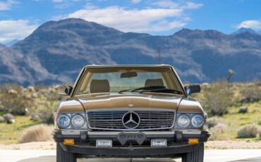 Mercedes-benz-380sl-1985-brown-7