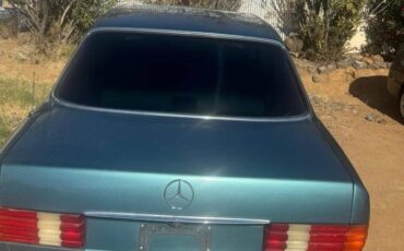 Mercedes-benz-420-420sel-1989-blue-2