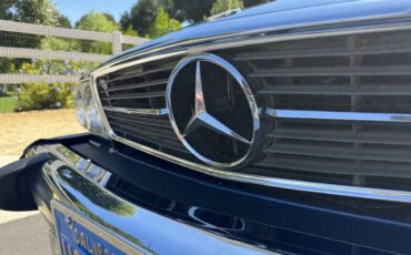 Mercedes-benz-450sl-1974-13