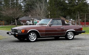 Mercedes-benz-450sl-1977-brown-2