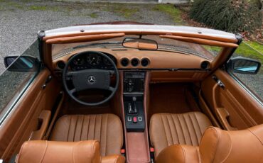 Mercedes-benz-450sl-1977-brown-7