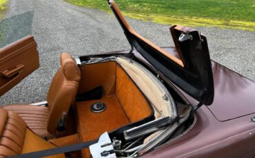 Mercedes-benz-450sl-1977-brown-8